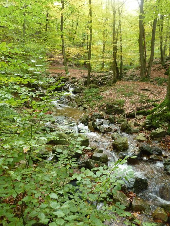 Gite Des Bois De Spa Exterior foto